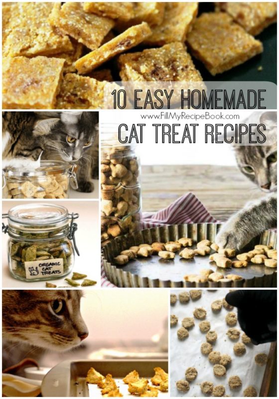 10 Easy Homemade Cat Treat Recipes Fill My Recipe Book