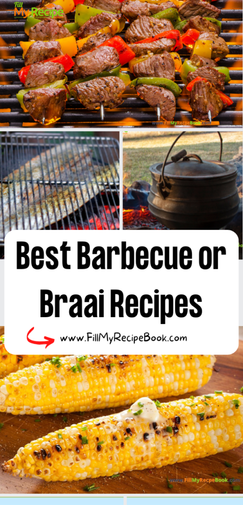 Best Barbecue or Braai Recipes idea to create. Assorted grilling ideas for meats and potato and breads with cold and warm side dishes.