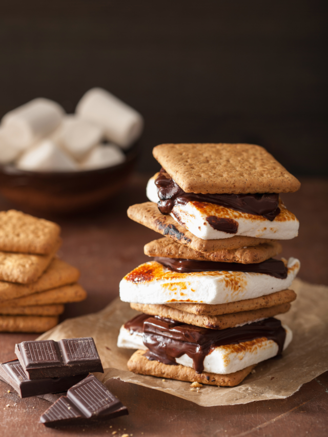 Homemade Marshmallow s’mores with Chocolate and crackers recipe idea. Melted marshmallows on the open fire while camping in spring or summer.