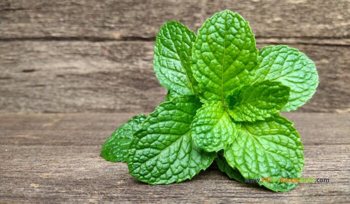 mint leaves for garnish in the fruit salad, and healthy benefits