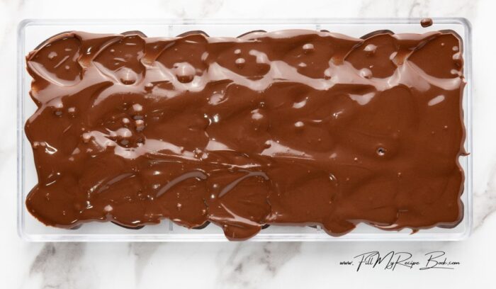 Coat your bonbon mold completely with the melted chocolate, ensuring all the holes are covered. 