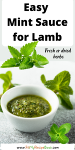 Easy Mint Sauce for Lamb recipe ideas to create at home that uses only 3 ingredients and simple, goes with lamb and other meat very well.